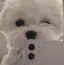るるのプロフィール画像