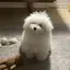 とみのプロフィール画像