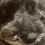 きのこの里のプロフィール画像