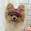 あさかのプロフィール画像