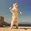 くどーのプロフィール画像