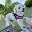 えたんのプロフィール画像