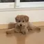 Erikaのプロフィール画像