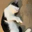 みーたんのプロフィール画像