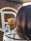 みーのプロフィール画像