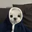 なこのプロフィール画像