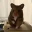まぁのプロフィール画像