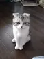 つむなごのプロフィール画像