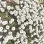 あきのプロフィール画像