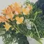 annのプロフィール画像