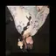 玲音のプロフィール画像