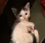 あやのプロフィール画像