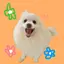 うーかのプロフィール画像