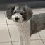かおりのプロフィール画像