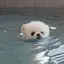 白のプロフィール画像