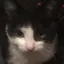 3noのプロフィール画像