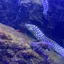 ryutoのプロフィール画像