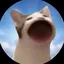 Tのプロフィール画像