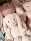 庭のプロフィール画像