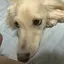 Taigaのプロフィール画像