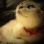 ねこモモのプロフィール画像