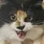 おのプロフィール画像