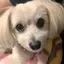 HaRのプロフィール画像