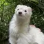 あづりんのプロフィール画像