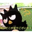 めのプロフィール画像