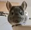 Tomyのプロフィール画像