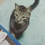 yukiのプロフィール画像