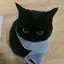 naamoのプロフィール画像