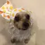 スマイリーちゃんのプロフィール画像
