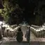 maaのプロフィール画像