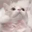 ☁️のプロフィール画像
