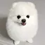 annaのプロフィール画像