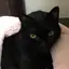 Mimiのプロフィール画像