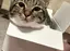 ちかのプロフィール画像