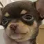 ゆっちゃ☆彡のプロフィール画像