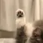 まるのプロフィール画像