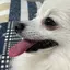 伊之助のプロフィール画像