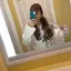 まかみいこのプロフィール画像