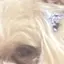 りのプロフィール画像