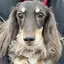 か の んのプロフィール画像
