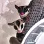 凱のプロフィール画像