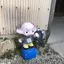 ayacoのプロフィール画像