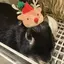 ♩のプロフィール画像
