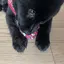 ukaのプロフィール画像
