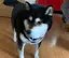 瑞季のプロフィール画像