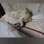ひろみのプロフィール画像